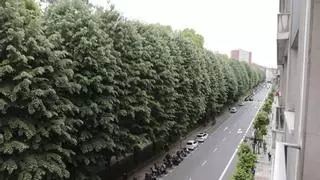 Oviedo apuesta por una ciudad más verde