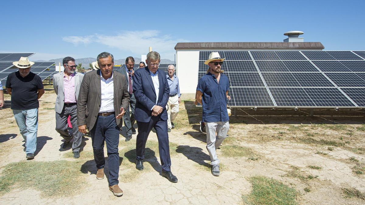 La Generalitat autoriza la planta solar de la cooperativa Eléctrica  Callosina - Información