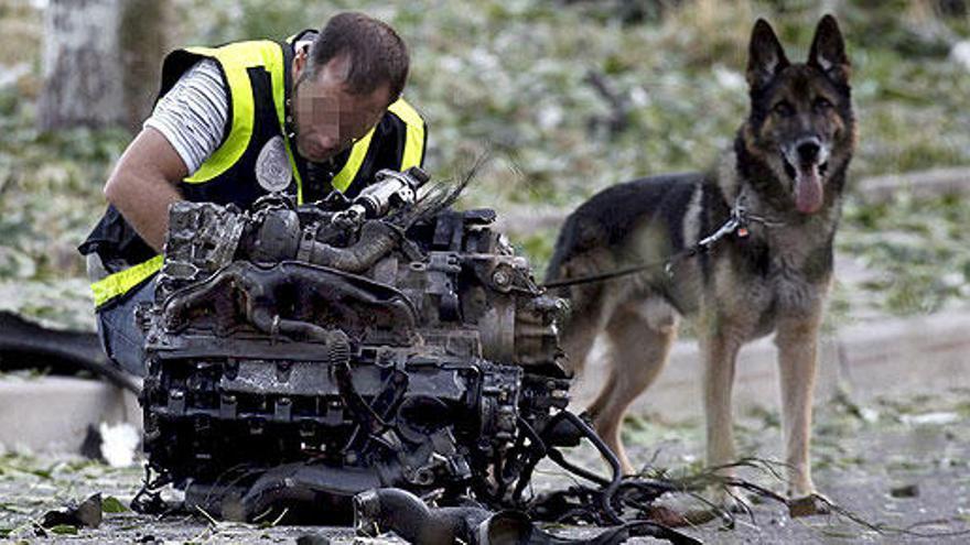 Los perros policías jubilados buscan un nuevo hogar