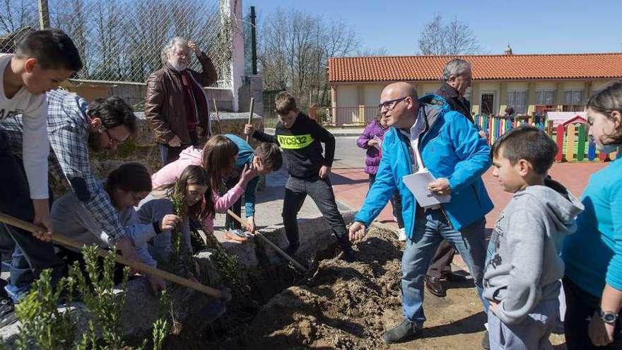 Manuel Baltar, con los escolares de Xunqueira plantando diversas especies autóctonas. // FdV