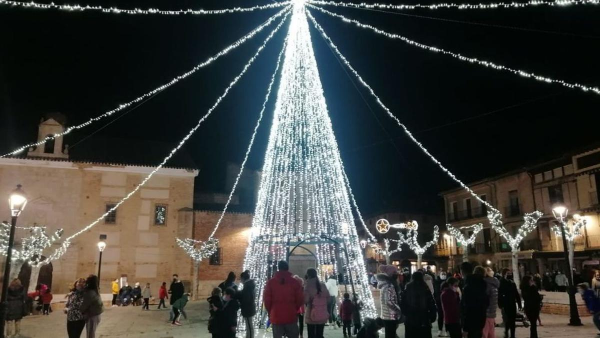 Árbol de Navidad luminoso en Toro. | M. J. Cachazo