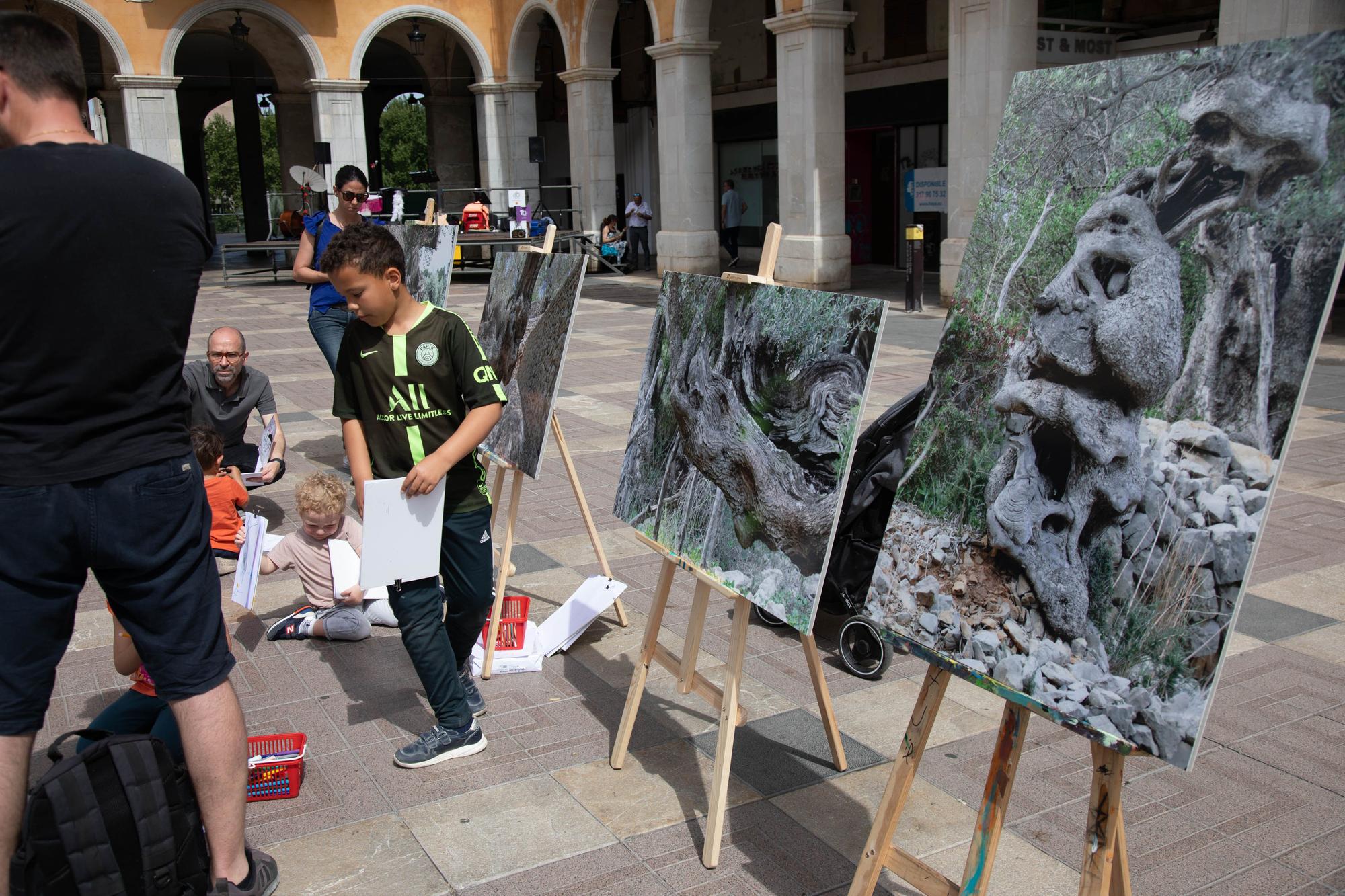 Tercera edición de la Fira de l'Oli de Mallorca en la plaza Major de Palma