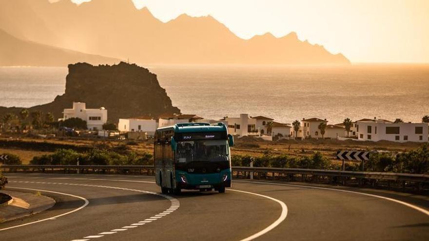 Cambian las guaguas en el norte de Gran Canaria: nuevos horarios para conectar Guía, Gáldar, Agaete y La Aldea durante la época escolar