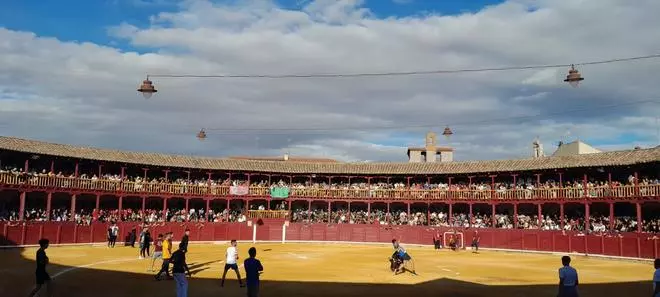 GALERÍA | La Asociación Cultural "Del Toro y su Tradición" suelta dos toros de cajón en las Fiestas de San Agustín