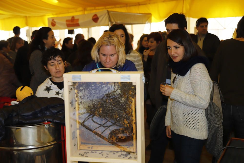 Feria gastronómica de Vilafamés