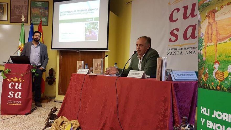 Las jornadas de viticultura y enología de Santa Ana se harán en noviembre