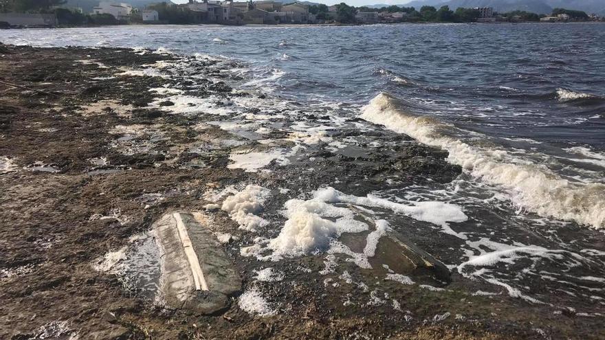 Imagen de la zona de la costa de AlcÃºdia donde se denunciÃ³ un posible vertido