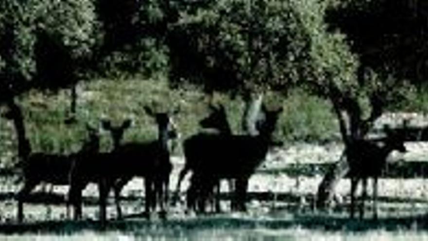 Educación edita ´Extremadura al natural´