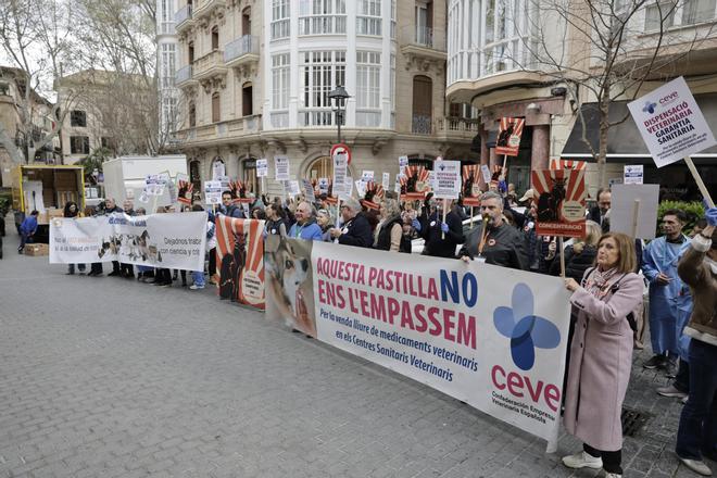 Los veterinarios de Baleares vuelven a plantarse ante el nuevo decreto: "Es un paso atrás en la lucidez científica"