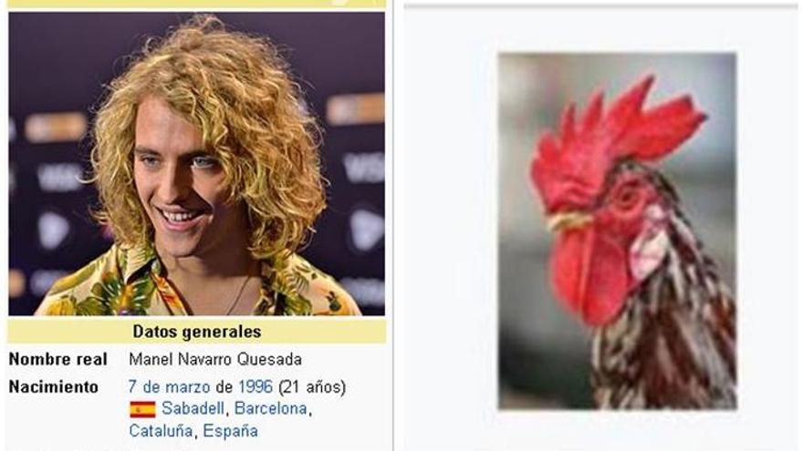 Cambian la foto de Manel Navarro por un gallo en la Wikipedia