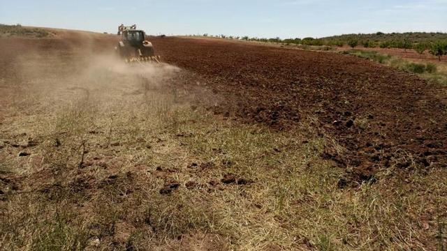 Zona agrícola de la localidad de Jumilla.