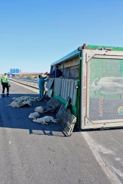 Accidente en la A-11