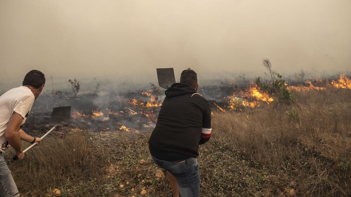 El incendio de la Sierra de la Culebra, en imágenes.