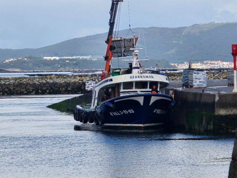 Descargas de mejillón para Francia e Italia en el puerto de Vilanova de Arousa.