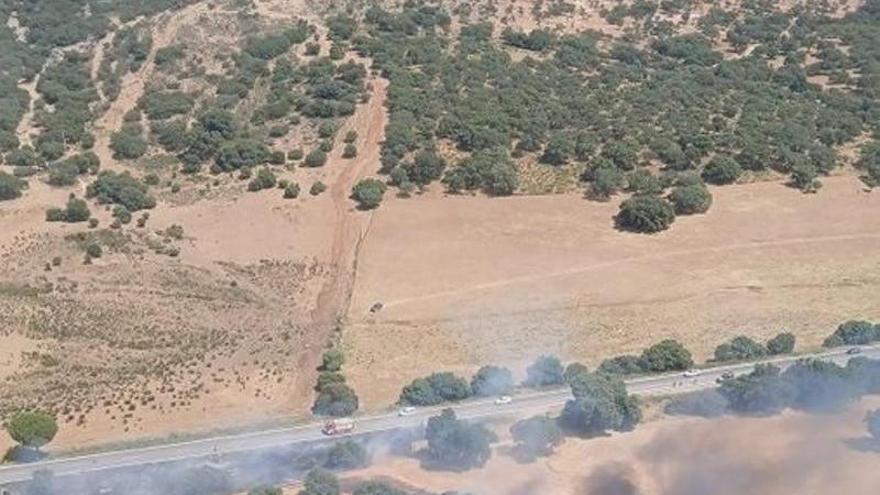 Declarado un incendio en una zona forestal de Rond