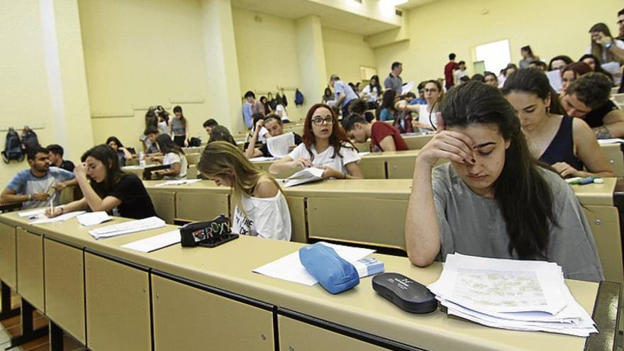 Todos los alumnos del Fuente Roniel de Fuente del Maestre aprueban selectividad