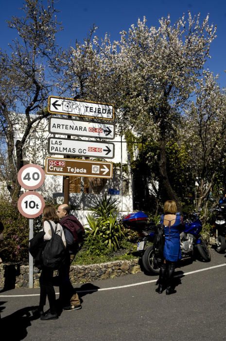 Fiesta del Almendro en Flor en Tejeda