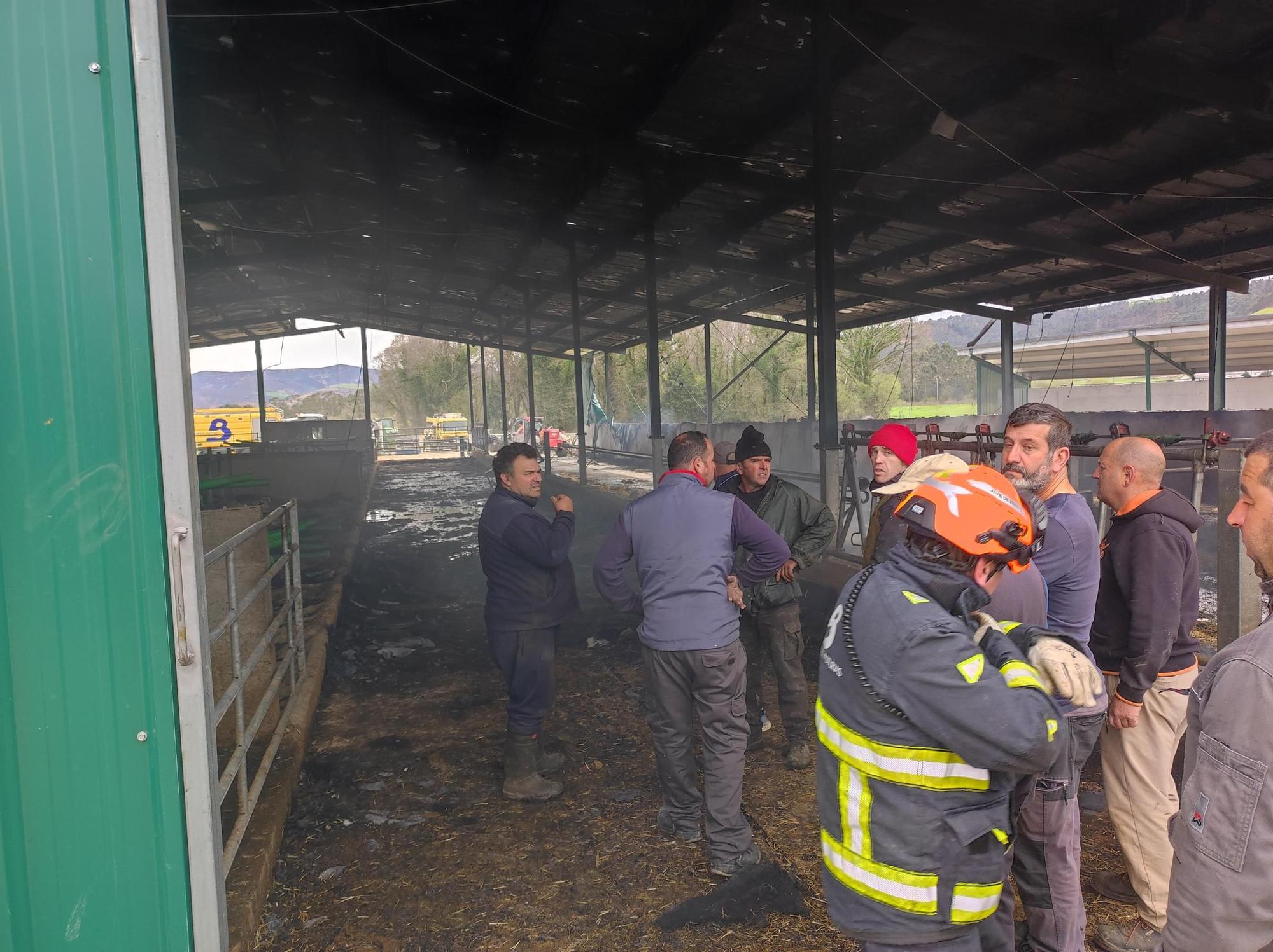 En imágenes: El fuego devora una nave ganadera en Otur (Valdés) y causa daños a un centenar de vacas