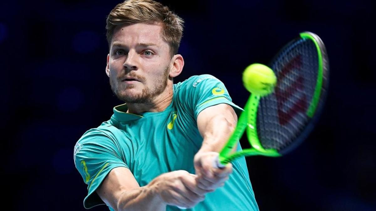 David Goffin