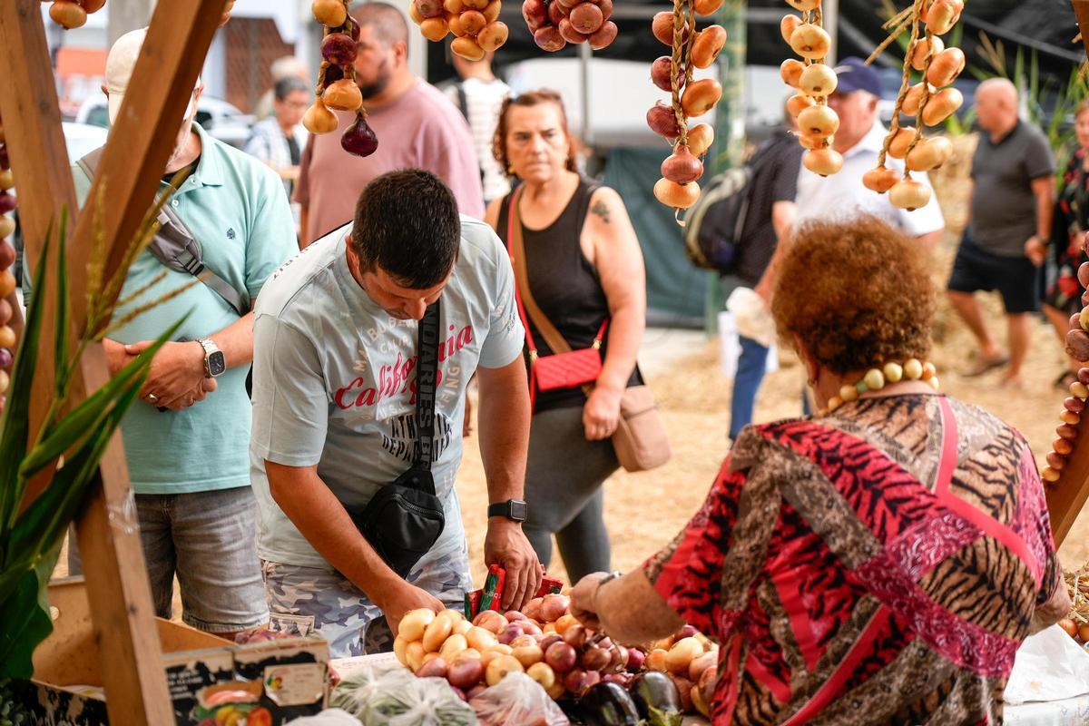Feria de la cebolla chata de Miño