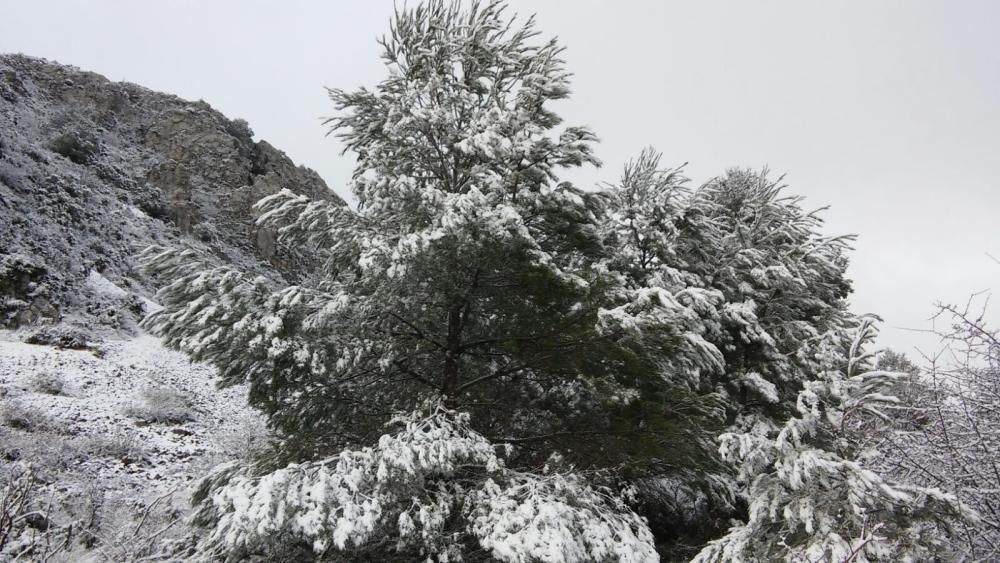 La nieve cubre la Font del Partagás, en la Sierra de Aitana