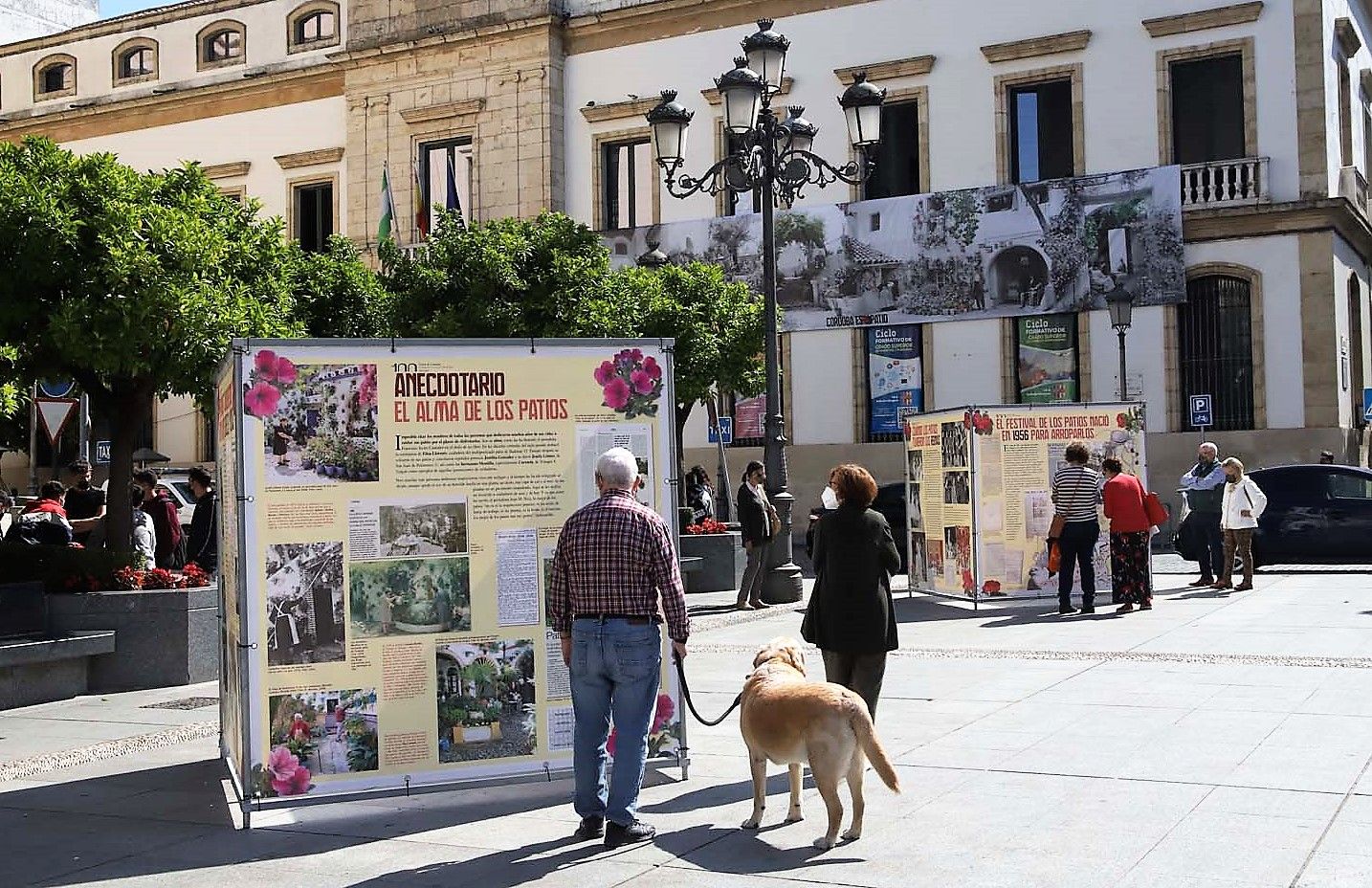 Exposición 100 años de patios en Las Tendillas