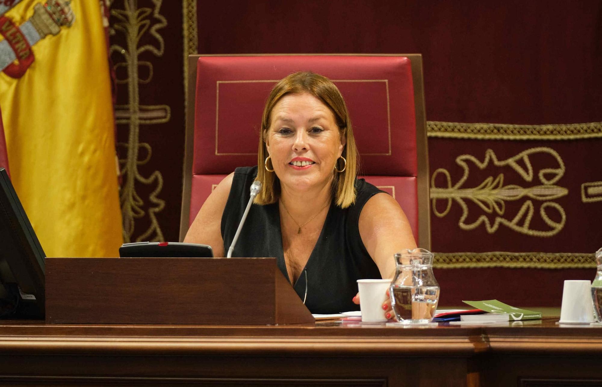 Primera sesión plenaria del Parlamento de Canarias