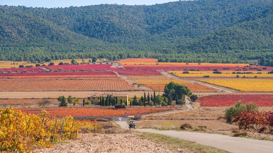 Paraje de la provincia valenciana de Terres dels Alforins