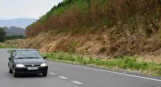 El uso de herbicida en la reforestación de la autovía pone en jaque a colectivos en Moaña