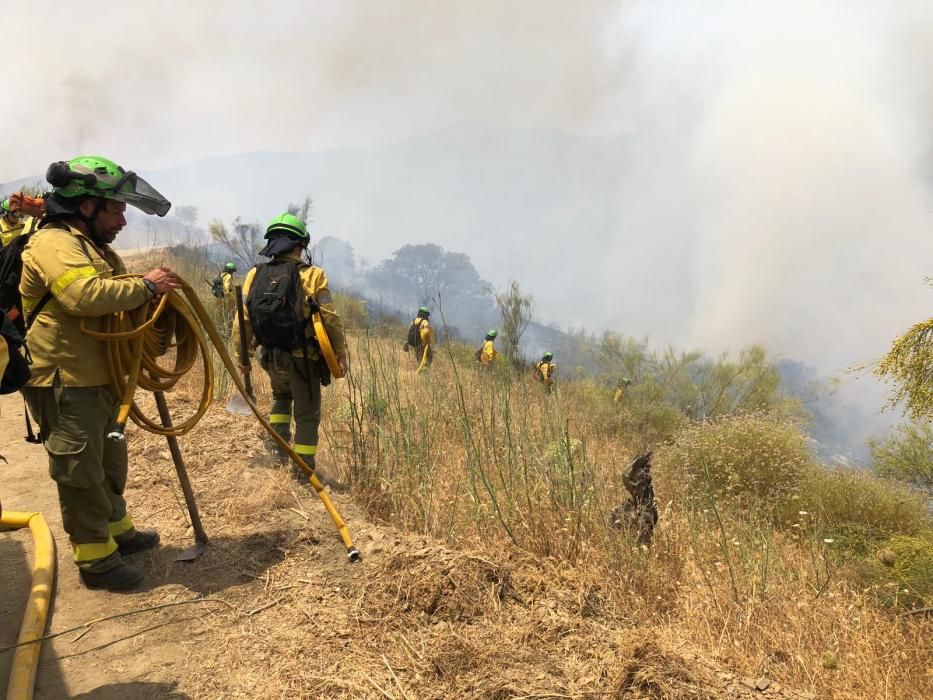 Incendio en los Montes de Málaga