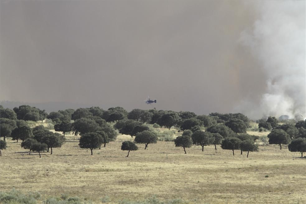 Incendio forestal en Cáceres