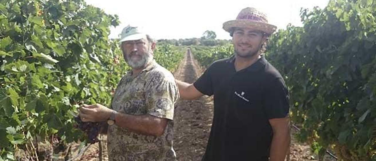 Miquel Gelabert, padre y su hijo Miquel en plena vendimia.