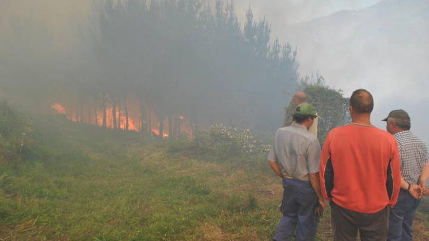 Detenido el supuesto autor del incendio forestal de Serandinas
