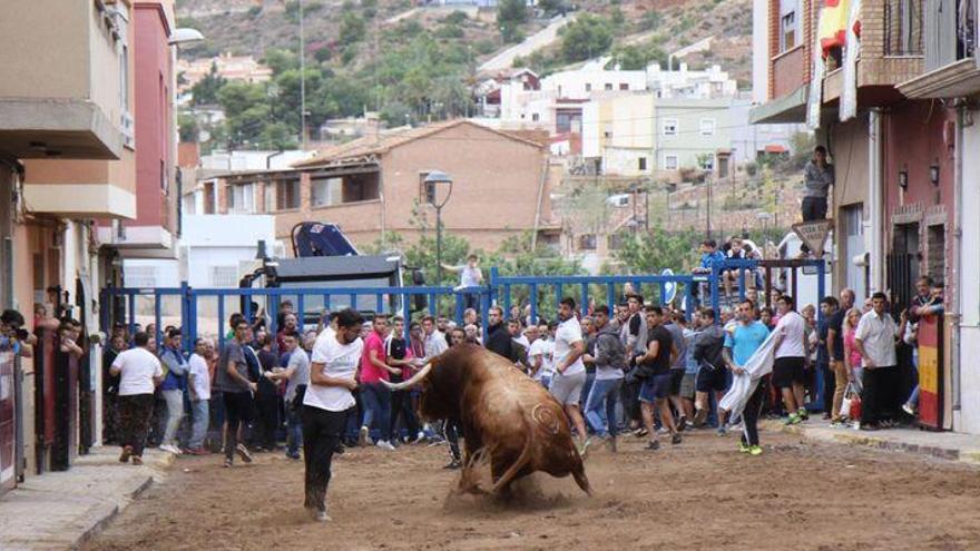 Los actos taurinos marcan el ritmo de las fiestas en la provincia