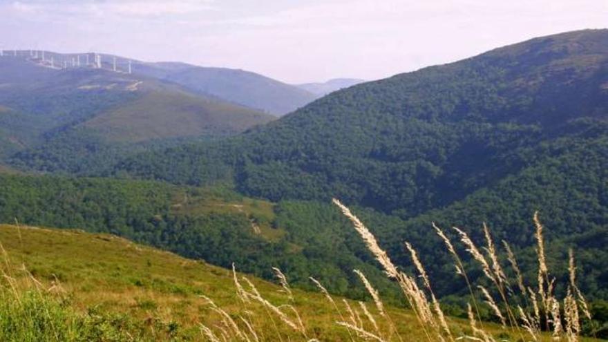 Panorámica de los montes de los lugares de Moa y Bustelos, en Vilatuxe.  // Bernabé