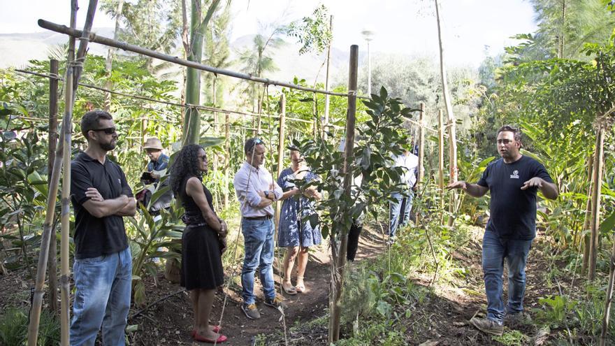 Un bosque comestible y un sumidero de carbono