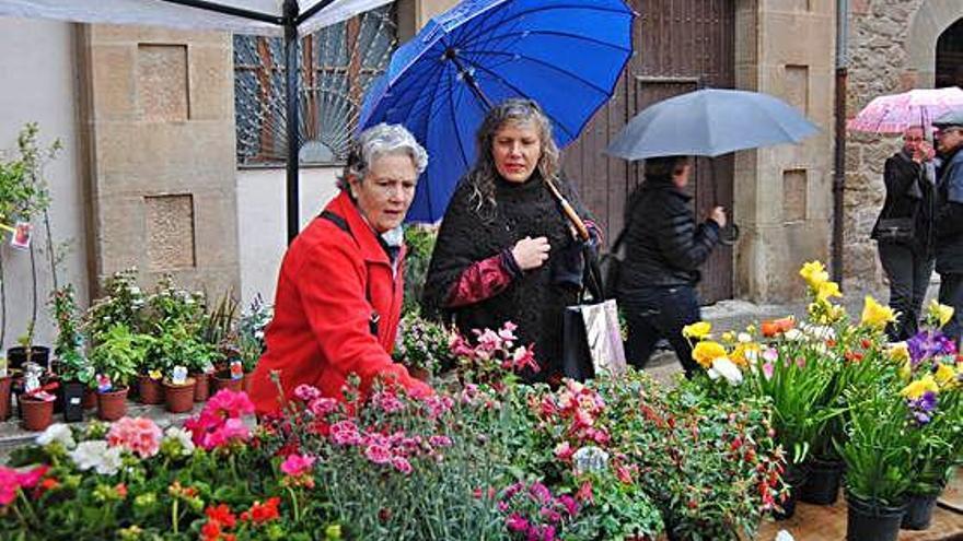 Una clienta del mercat de Solsona amb la vistosa bossa de la campanya promocional engegada ahir