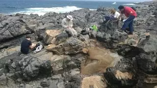 El Cabildo de Fuerteventura anuncia que Satocan desiste de los permisos para investigar tierras raras