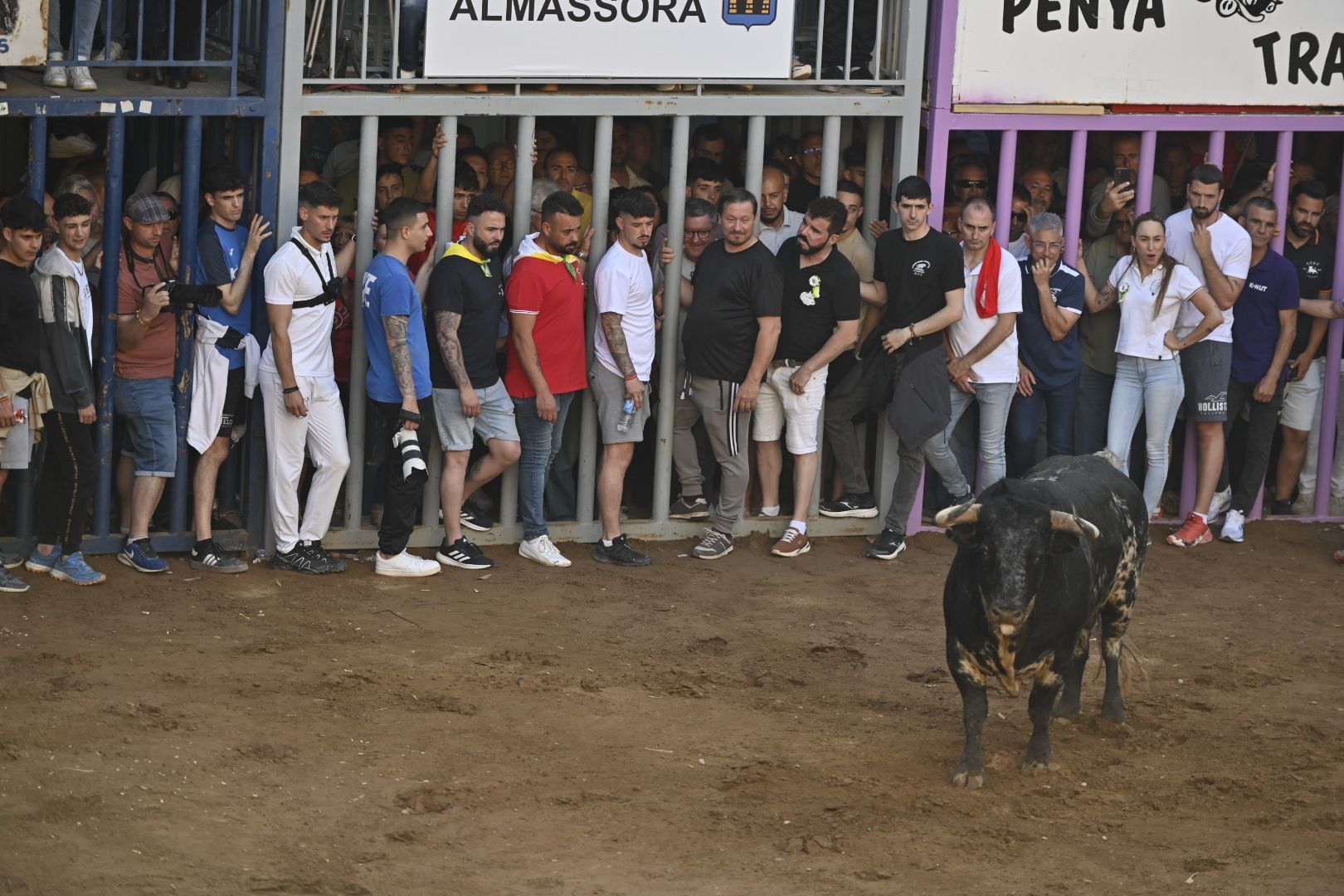 Galería | Primera tarde de toros en Almassora