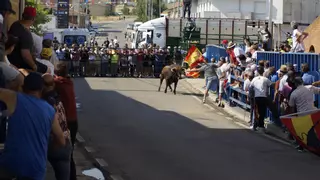 La Bóveda de Toro, epicentro de la afición taurina