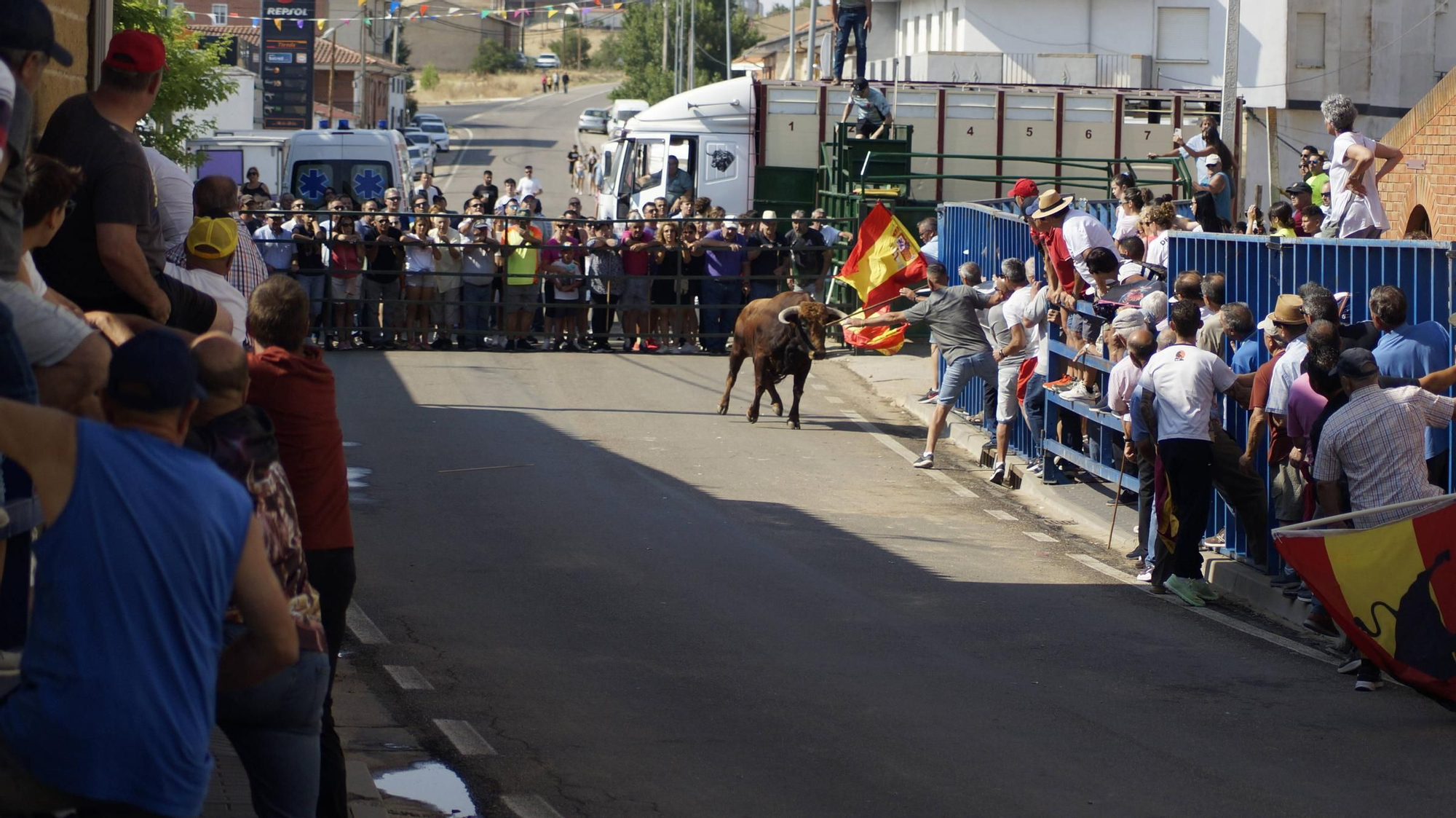 GALERÍA | Vibrante encierro urbano en La Bóveda de Toro