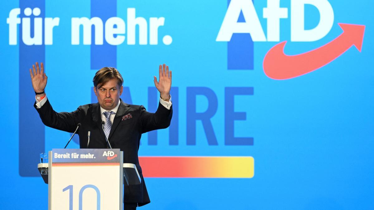 GERMANY-POLITICS/AFD