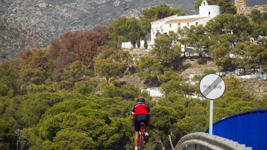 Decenas de pinos se han secado en el entorno del ermitorio de La Magdalena de Castelló.