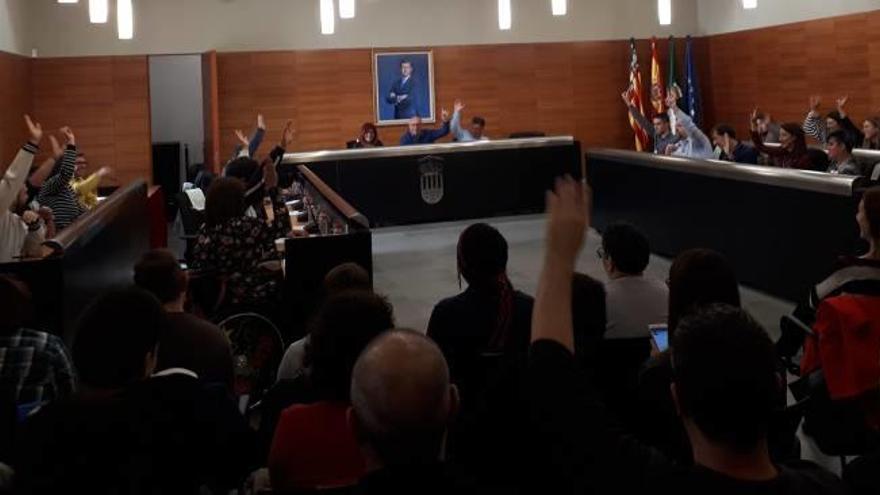 El pleno celebrado ayer atendió las necesidades y revindicaciones de siete colectivos de diversidad funcional.