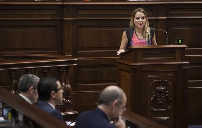 19/01/2017.CANARIAS.Pleno del Parlamento de Canarias..Fotos: Carsten W. Lauritsen