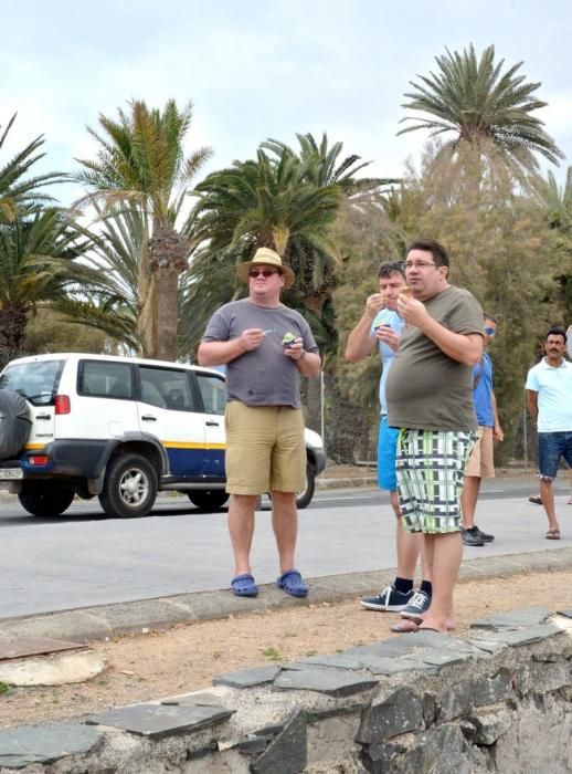 GARZA ÁNADE TORTUGA SUELTA CHARCA MASPALOMAS