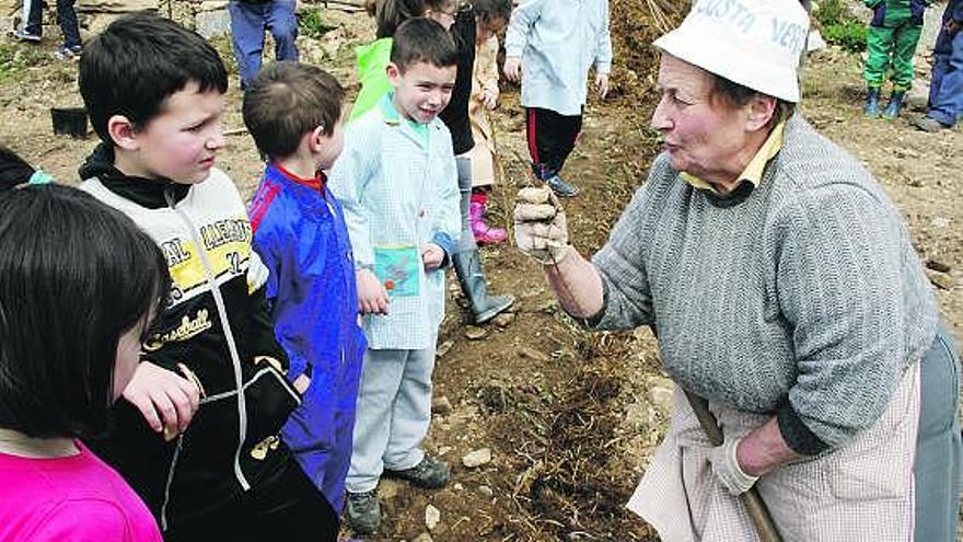 Visita García, explicando ayer a los más pequeños la importancia de retirar las malas hierbas, en Taramundi.