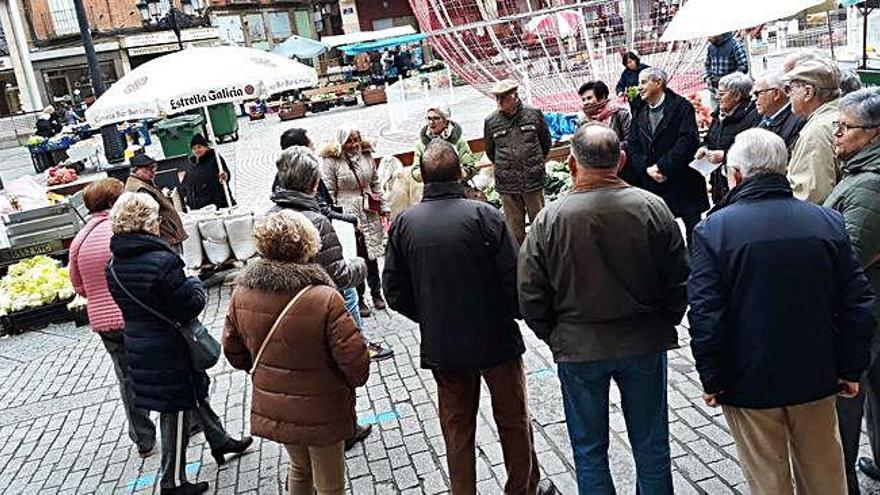 Los centros educativos se suman a la conmemoración de actos por el Día de la Constitución