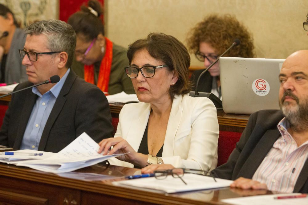 Pleno del Ayuntamiento de Alicante