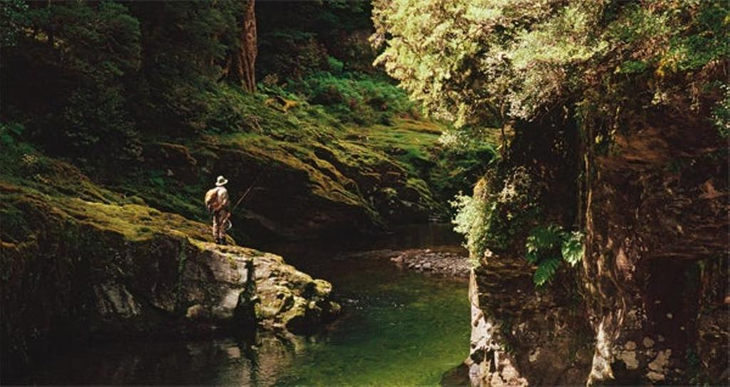 Parque de los Fiordos, Nueva Zelanda